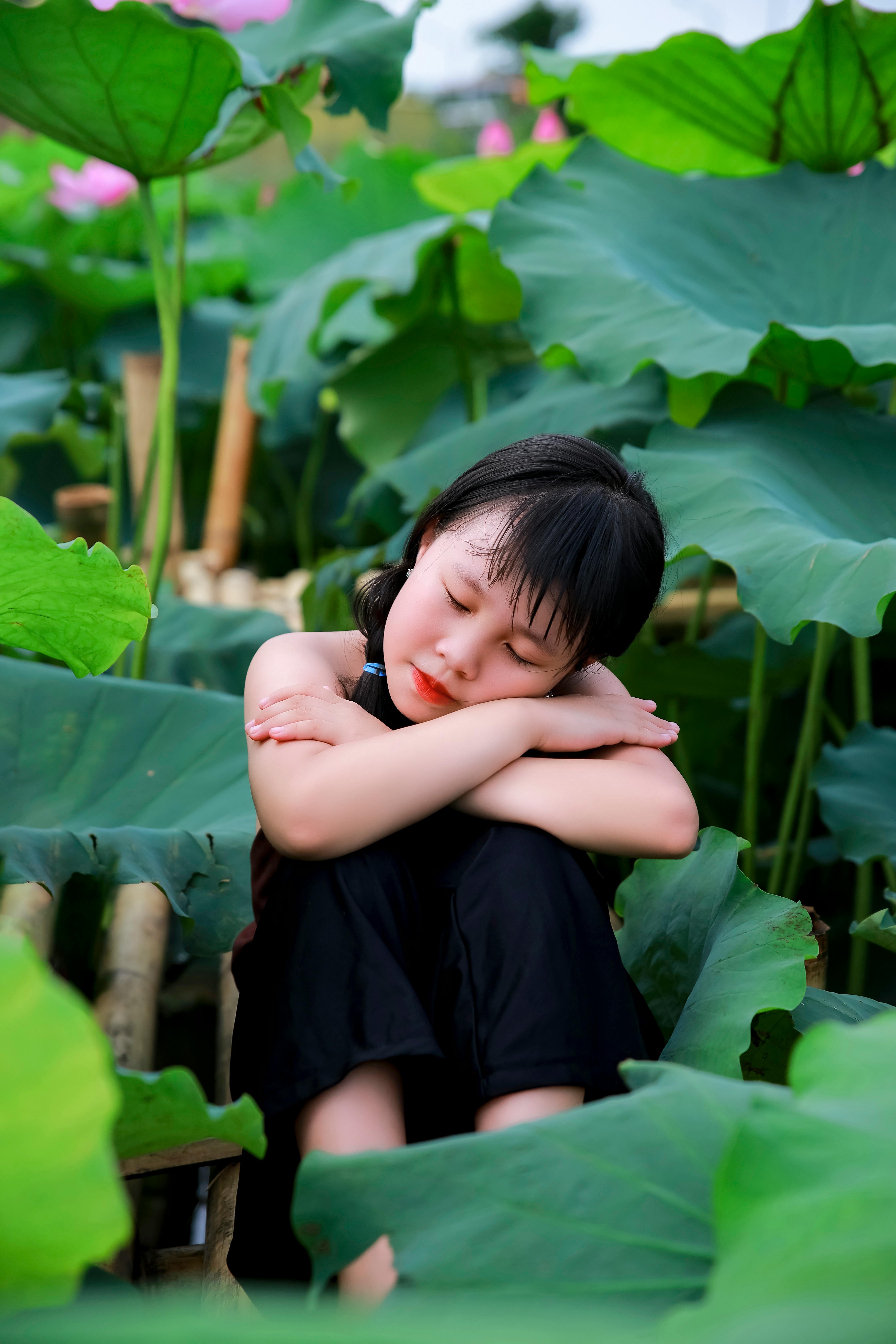 创作者封面：Nguyen Hùng